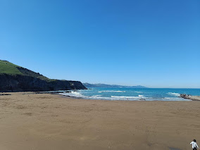 Una playa con el mar de fondo

Descripción generada automáticamente