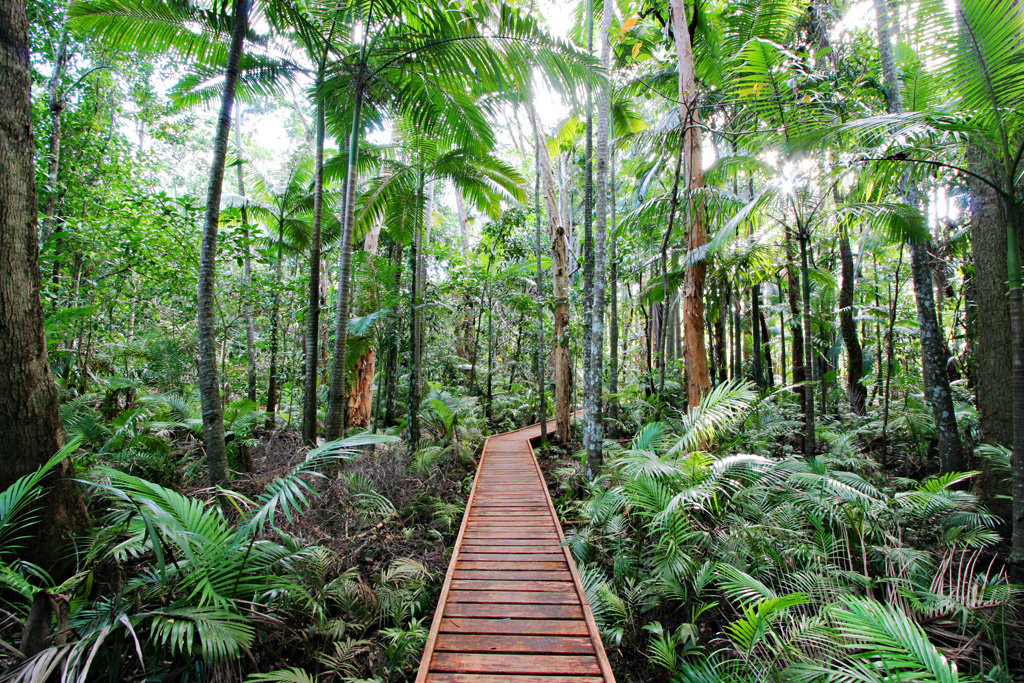 Cairns Botanic Gardens