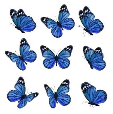 25.200+ Mariposa Azul Ilustraciones de Stock, gráficos vectoriales libres  de derechos y clip art - iStock | Mariposa azul común, Mariposa monarca,  Yoga