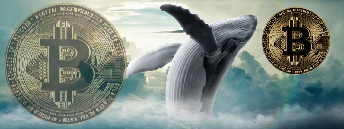 Mysterious crypto whales