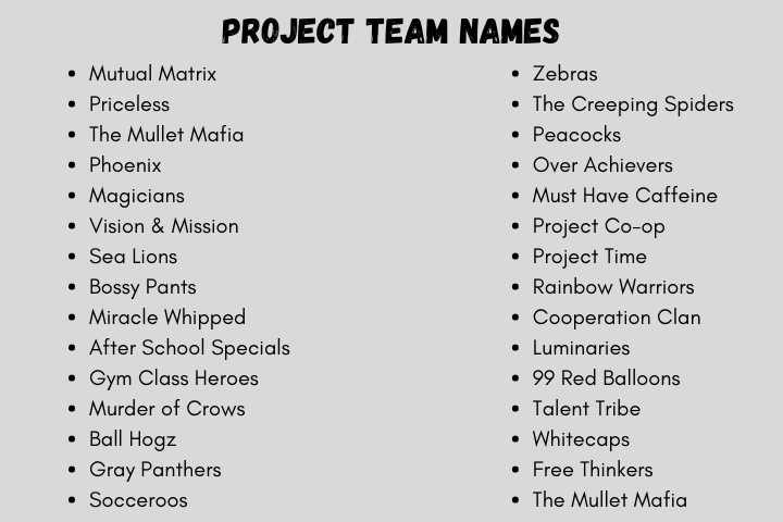 Project Team Names