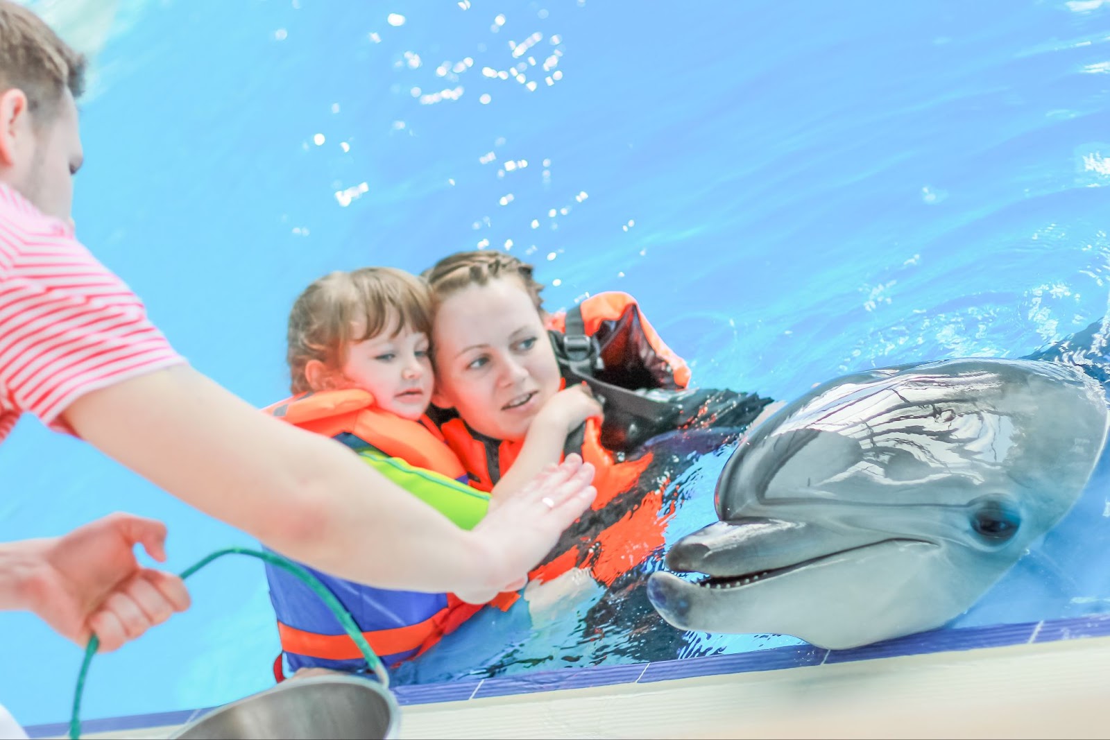 A woman and her daughter are having an encounter with a dolphin. 