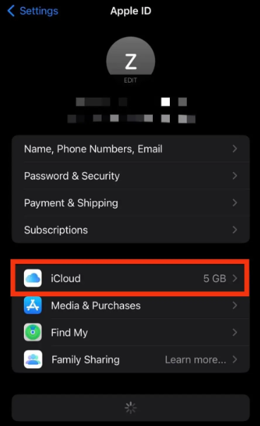 Click on iCloud and ensure that WhatsApp backup is enabled