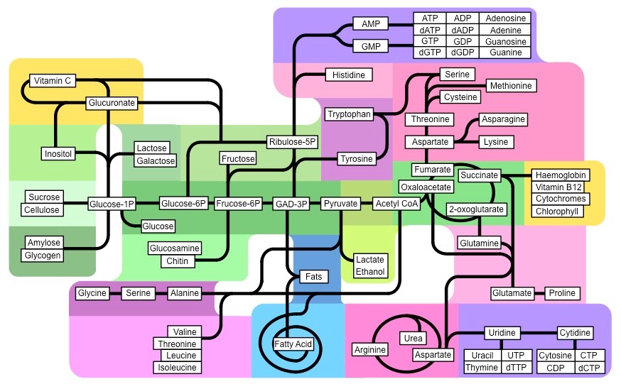 molecular biology