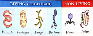 Imagen que contiene Escala de tiempo

Descripción generada automáticamente