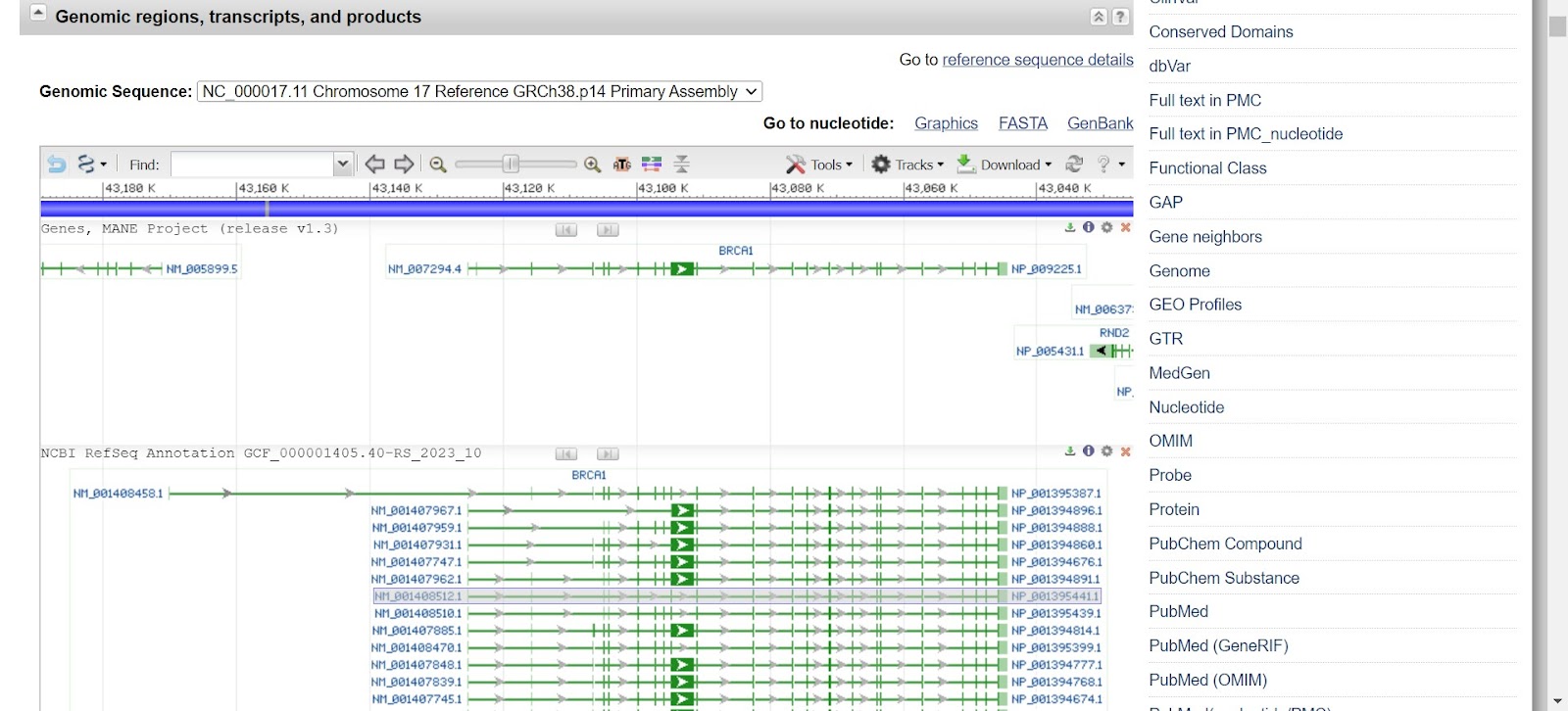 How to find a gene 8