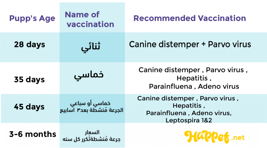 جدول تطعيمات الكلاب 