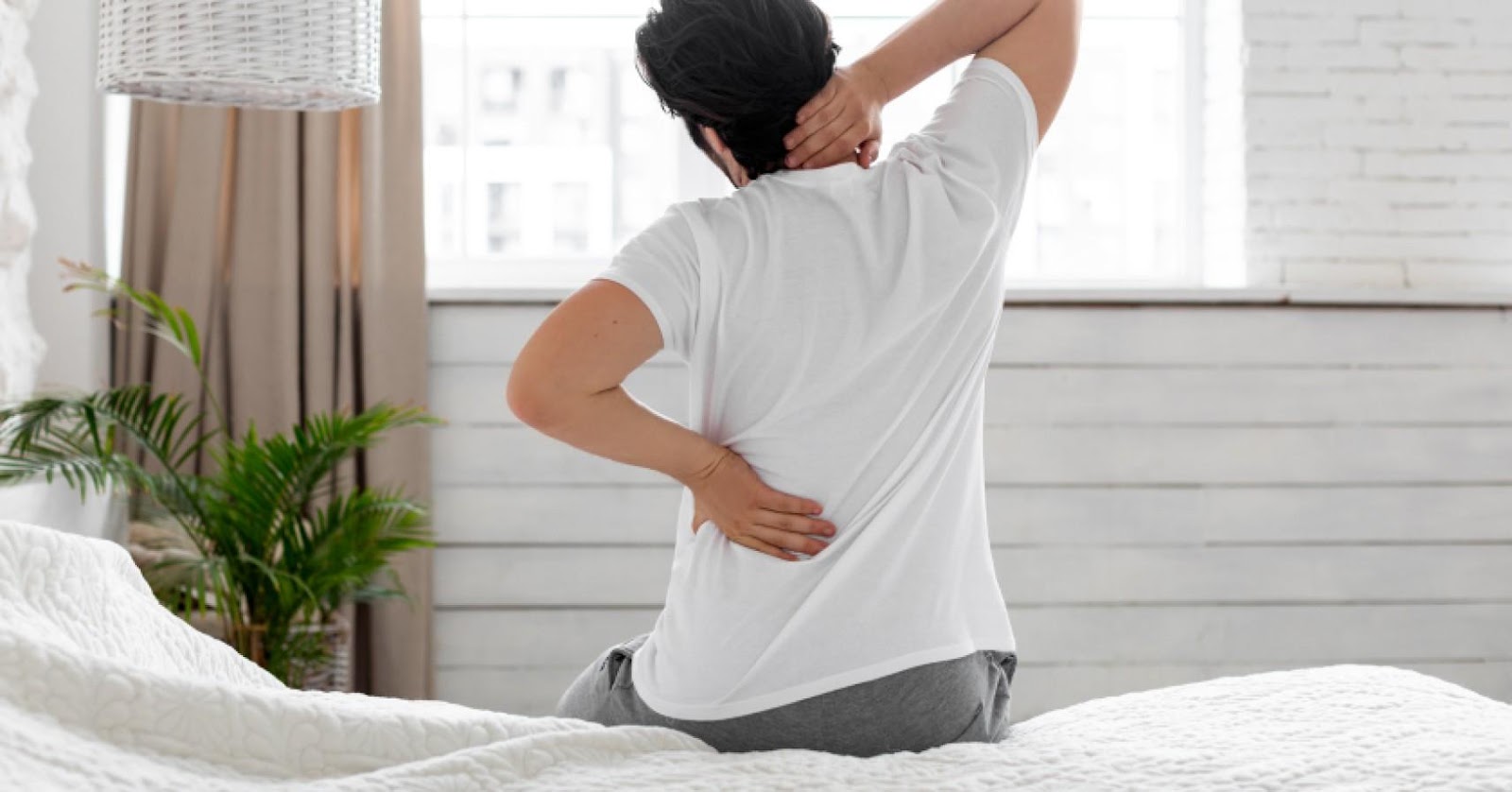 Best mattresses for back pain | Bedshed