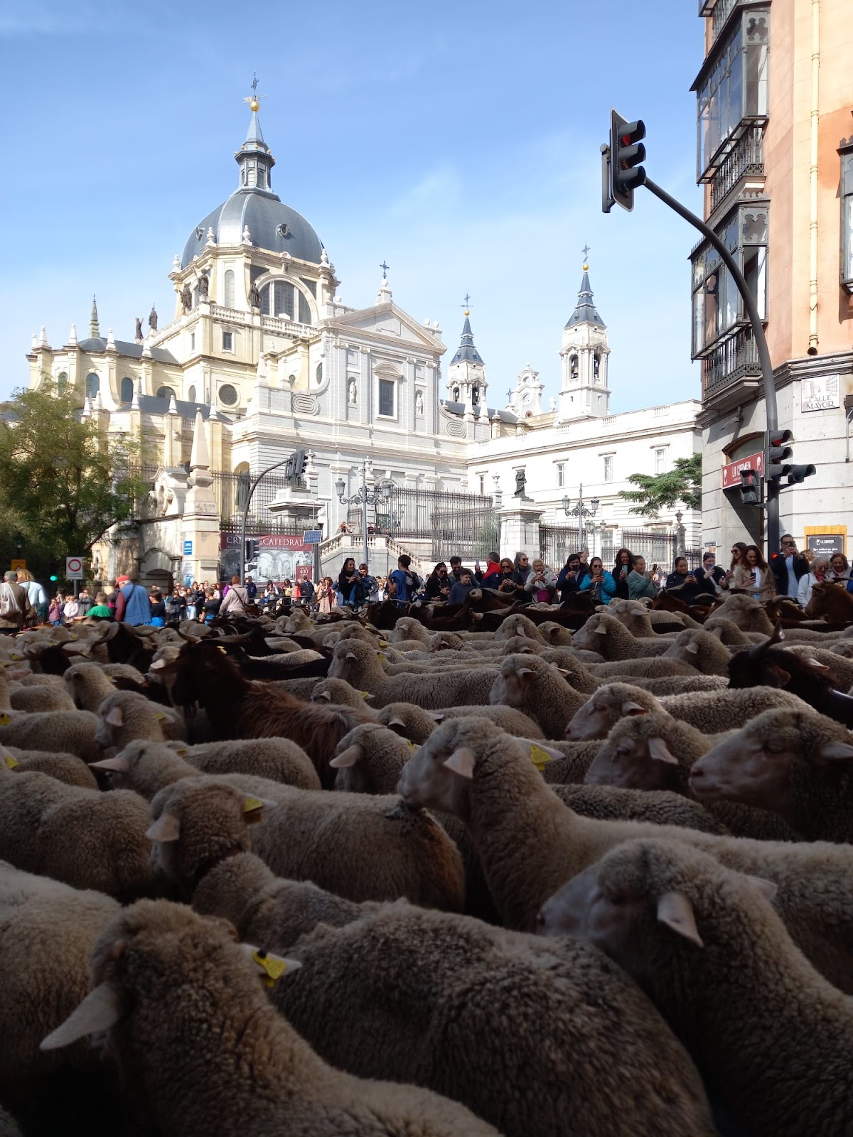 LA FIESTA DE LA TRASHUMANCIA EN MADRID