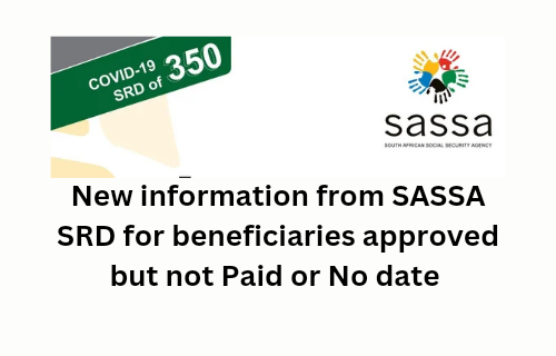 New information for approved but unpaid SRD SASSA R350 2024 thumbnail