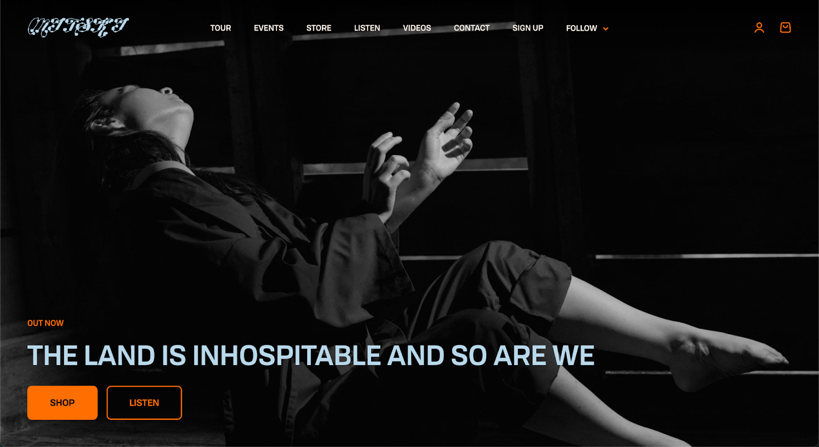 musician website example, mitski