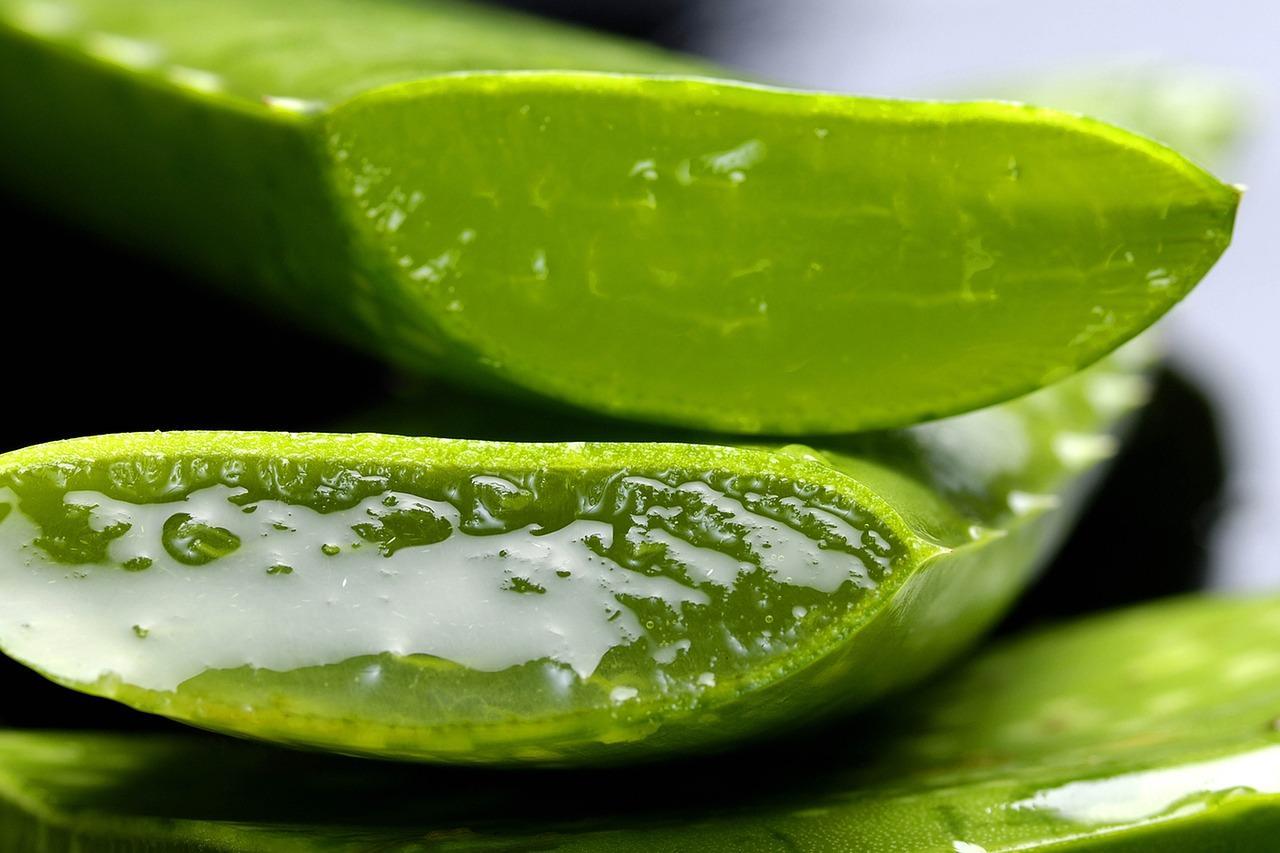 Pulizia e preparazione della foglia di aloe vera:
