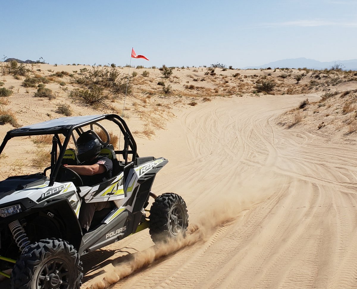Adventure Unleashed Road Trips