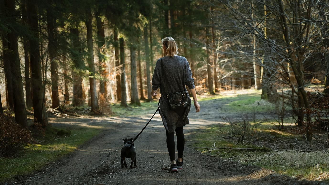 A person walking a dog on a trail

Description automatically generated