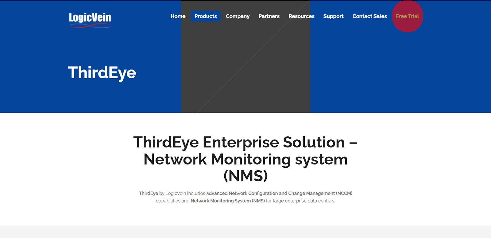 A screenshot of ThirdEye's website