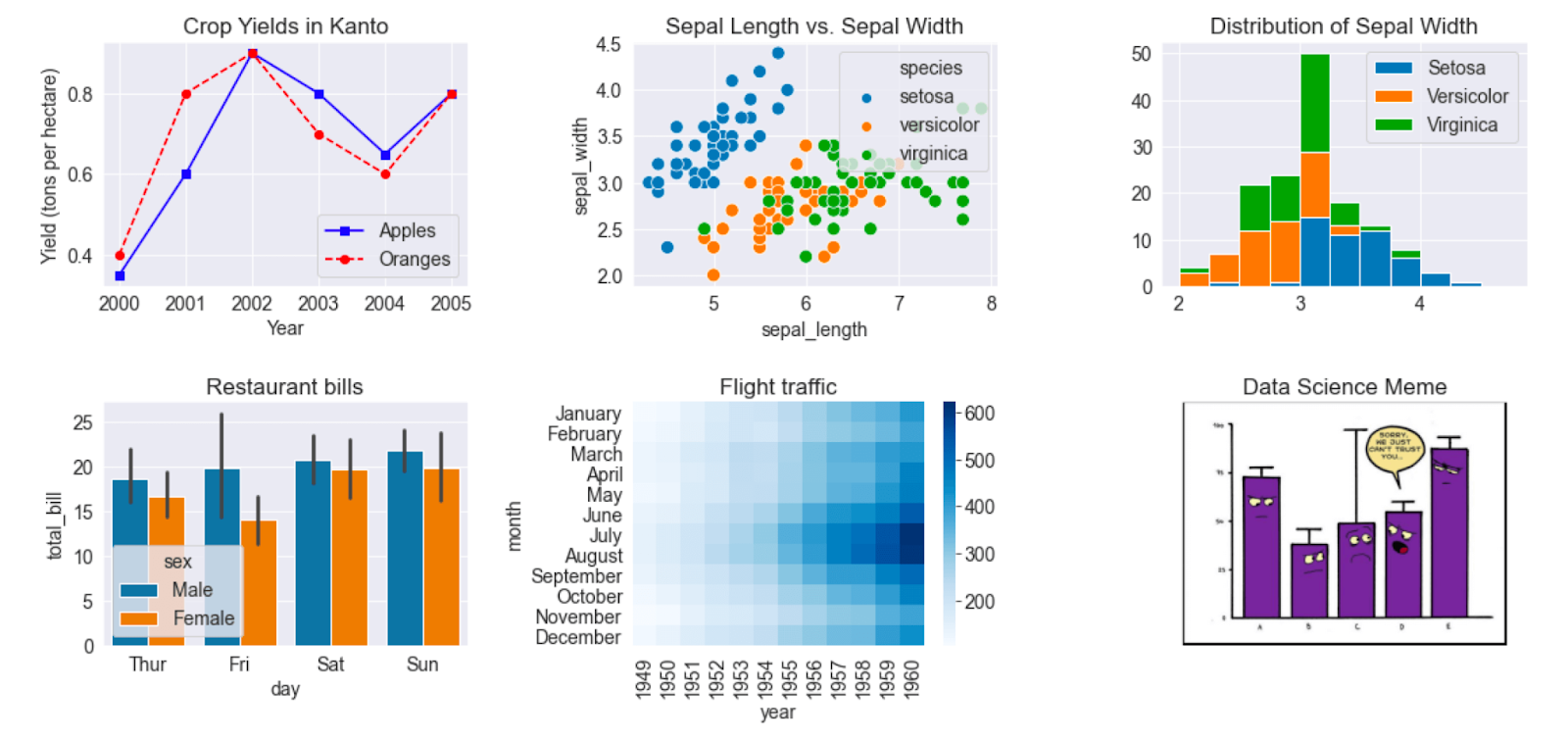 Data Scientist