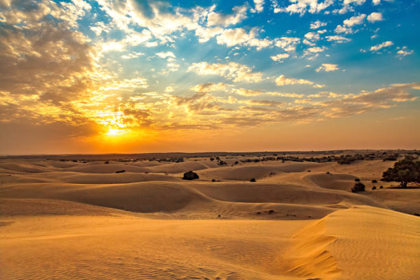 Thar desert