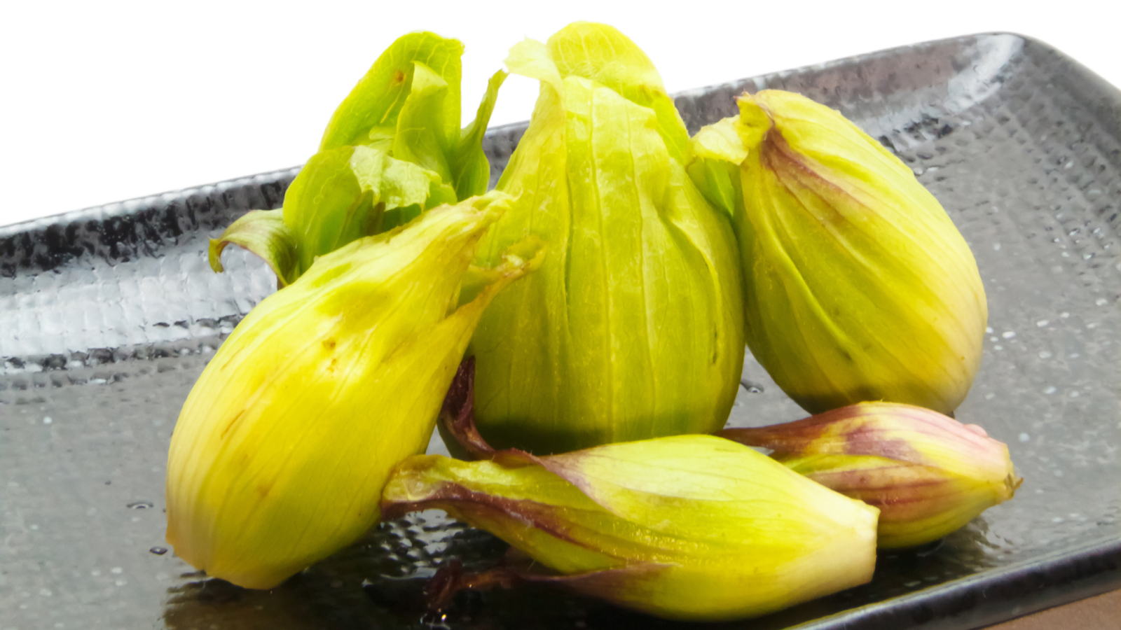 butterbur sprout for getting rid of allergies