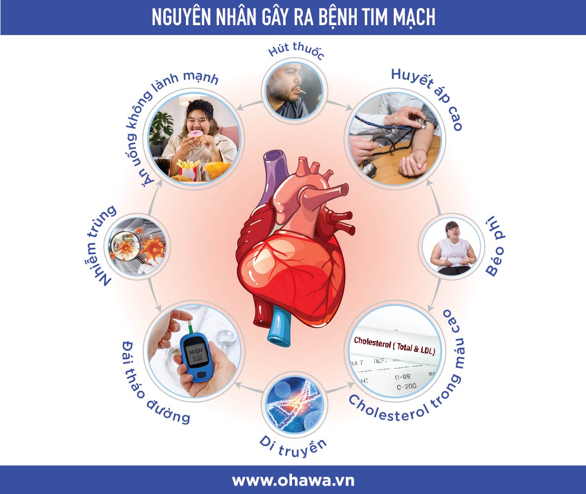 Nguyên nhân gây ra bệnh tim mạch