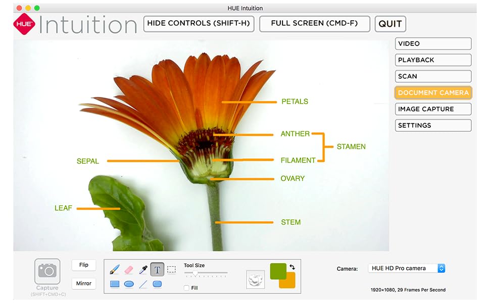 intuition software gerbera with annotations interface