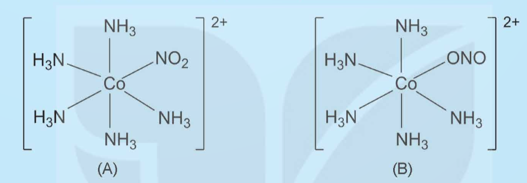 A close-up of chemical formulas

Description automatically generated