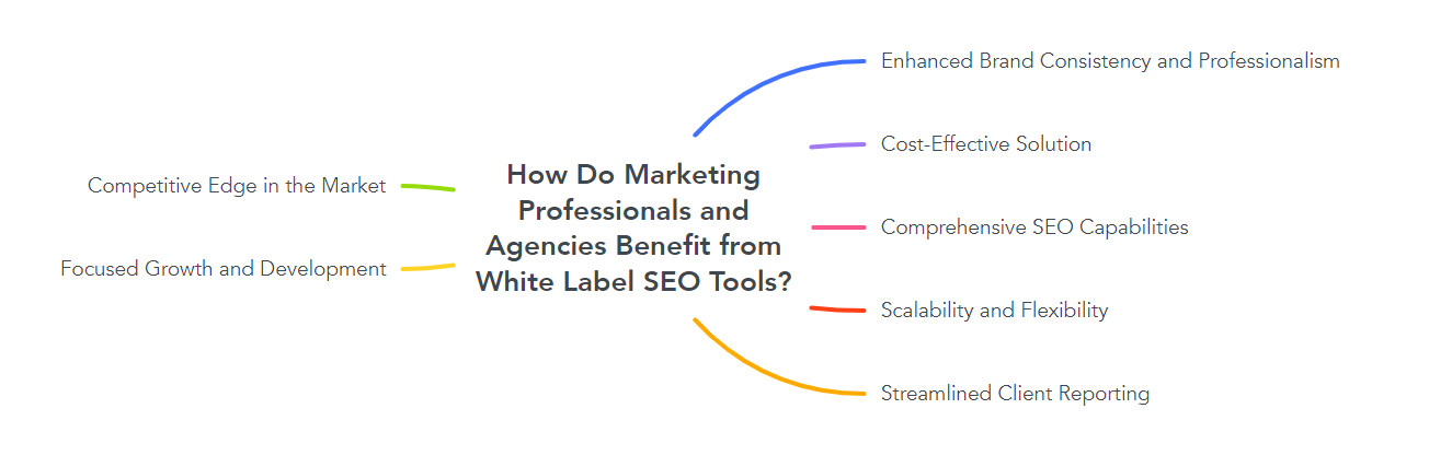 How Do Marketing Professionals and Agencies Benefit from White Label SEO Tools?