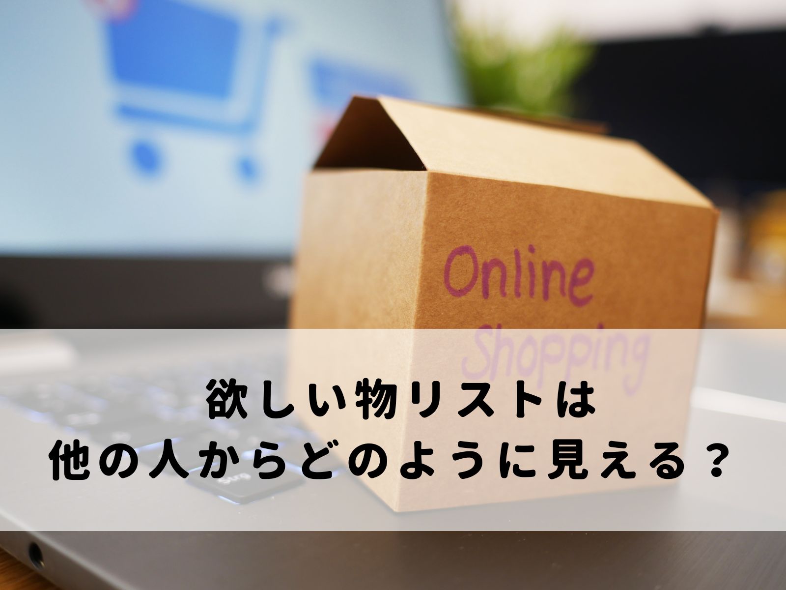 Amazon欲しい物リスト 住所ばれ　他の人からどのように見える？