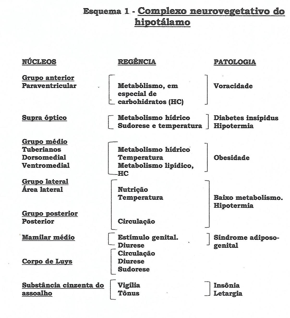 Tabela

Descrição gerada automaticamente