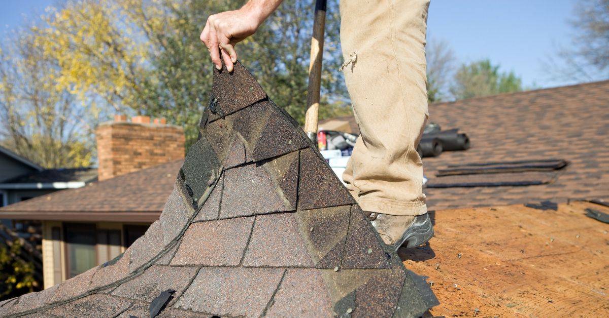 roof replacement