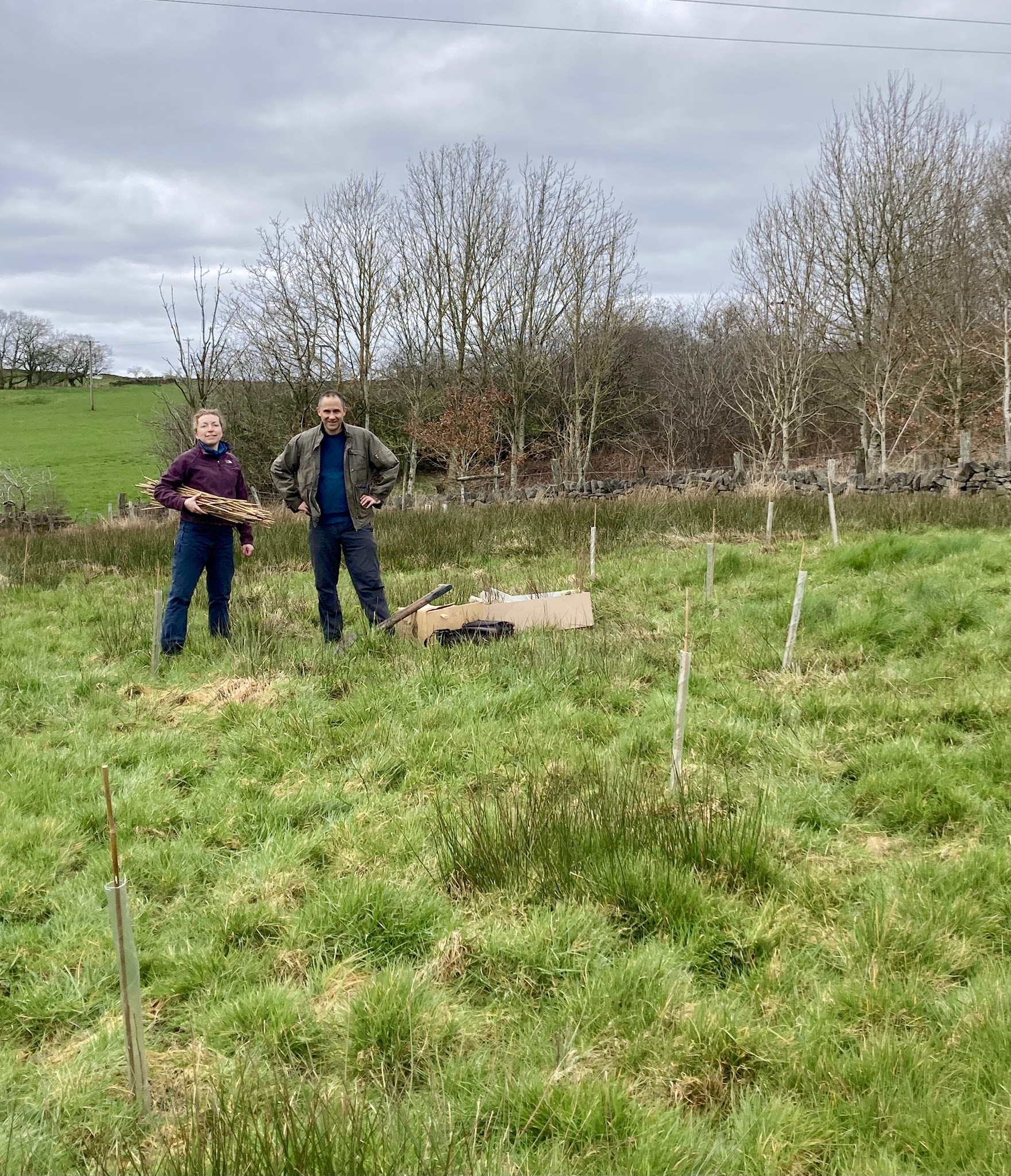 Nature New Mills tree planting