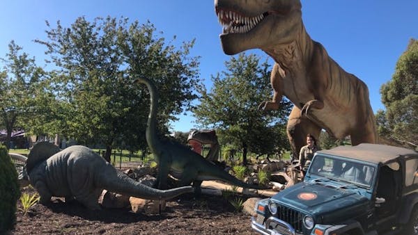 The Dinosaur Garden | National Dinosaur Museum