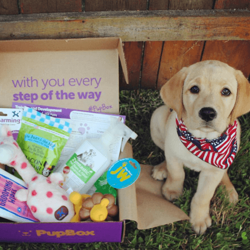 PupBox Subscription: Tailored for puppy development, including treats, toys, and training guides