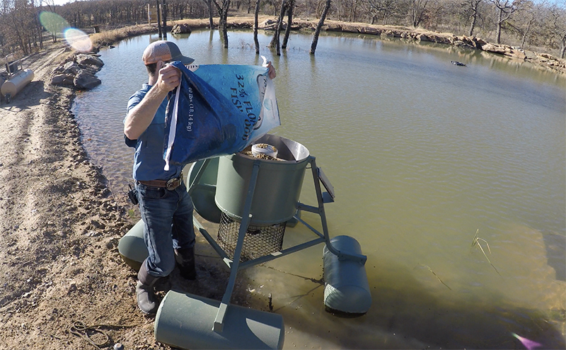 biologist filling fish feeder