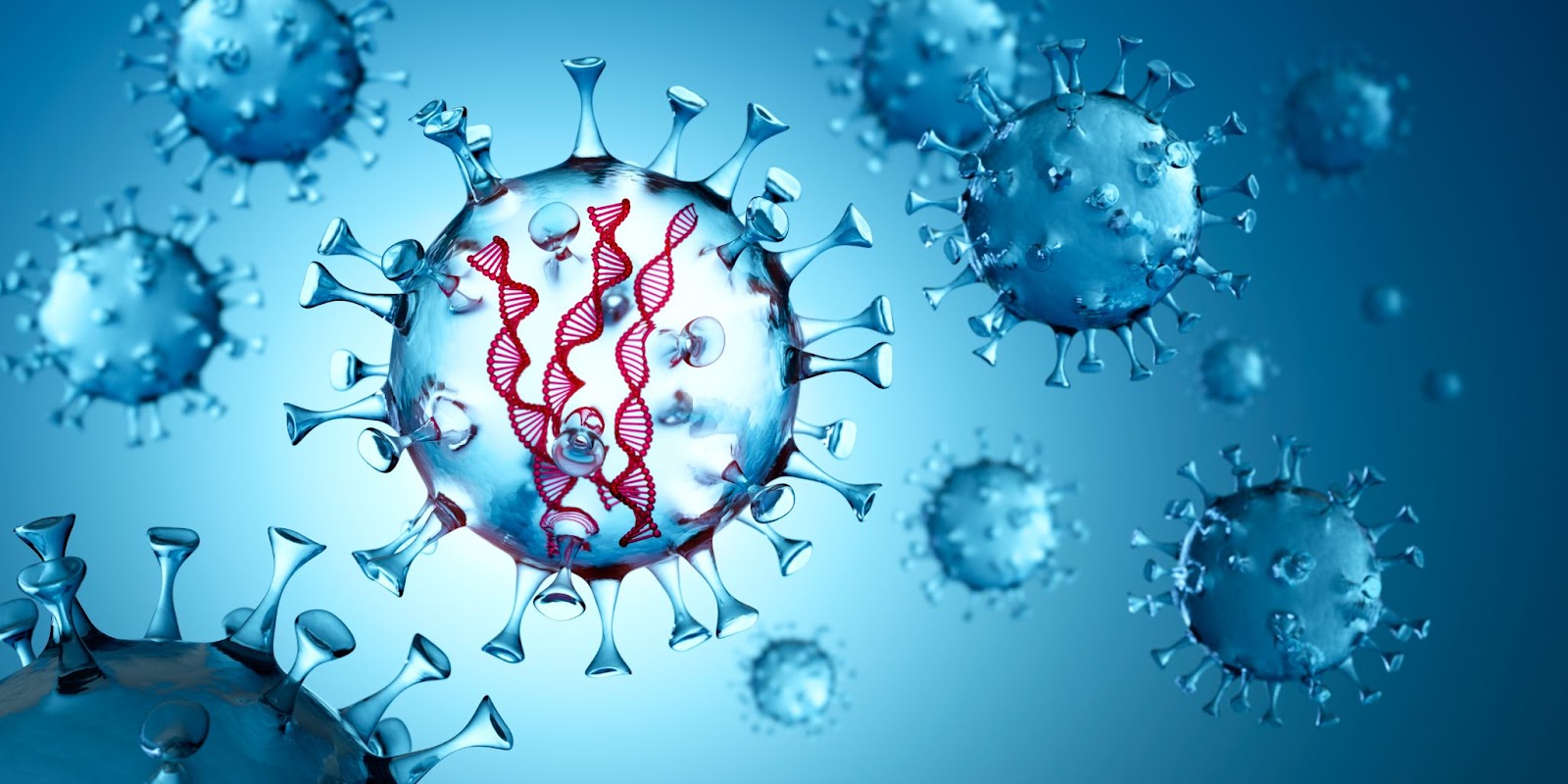 Vírus com DNA fita dupla capaz de infectar as células.