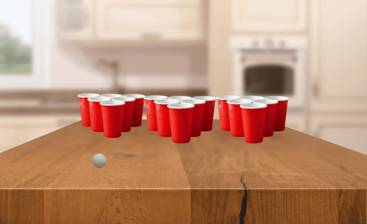 Beer Olympics pong
