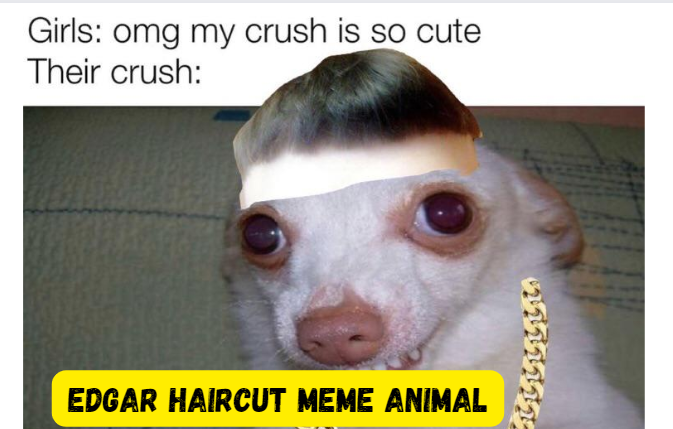 Edgar Haircut Meme Animal