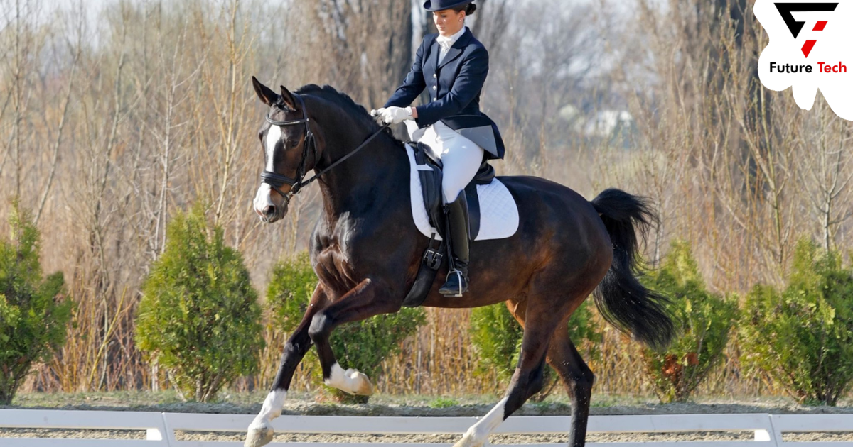 The Purpose Of Dressage Tests