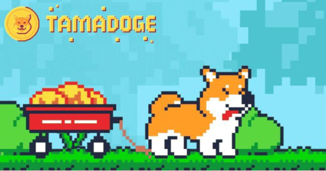 Tamadoge: A Play to earn games platform