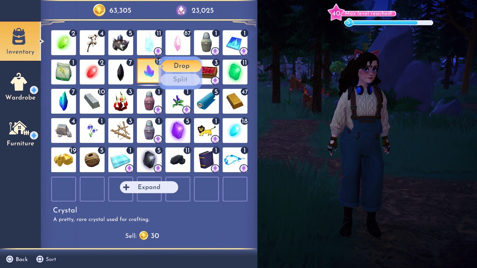 An in game screenshot of the inventory menu in Disney Dreamlight Valley. 