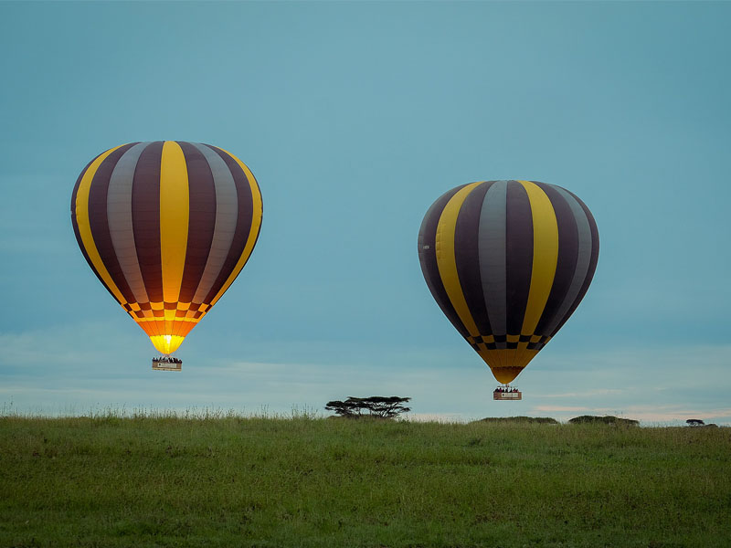 A depiction of a hot air balloon ride at sunset