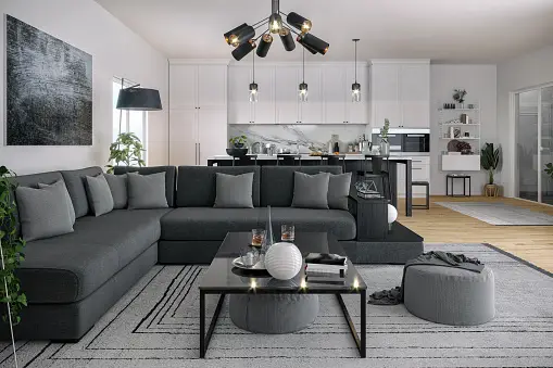 Living Room in Gray