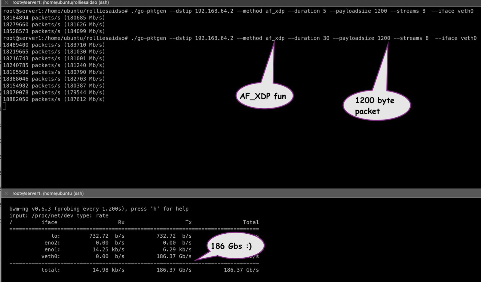 High-Speed Packet Transmission in Go: From net.Dial to AF_XDP