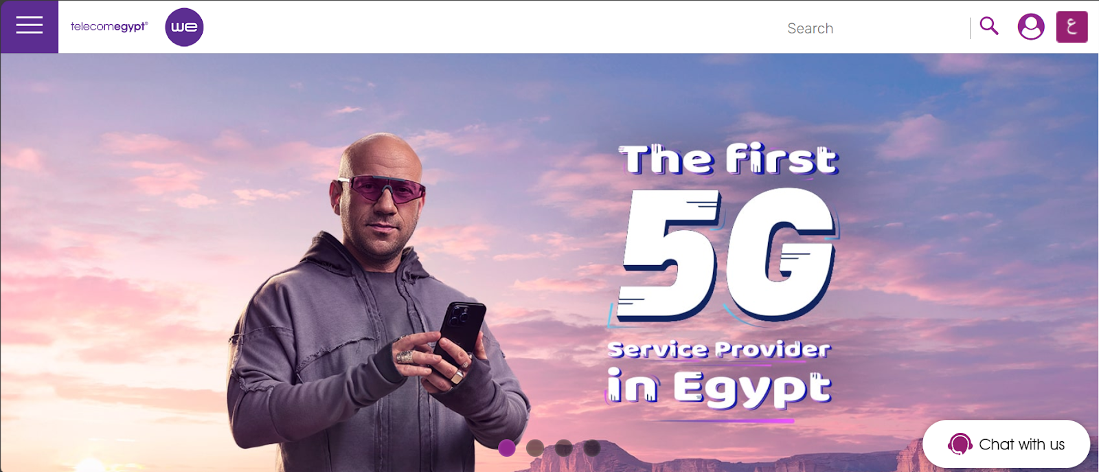 Telecom Egypt website snapshot highlighting the services it offers.