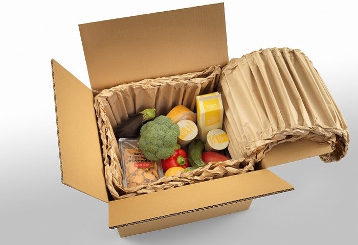 Temperature-Controlled Packaging Solutions
