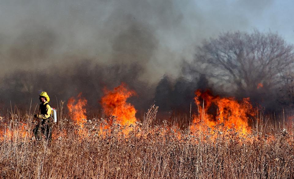  Stubble burning in a field.