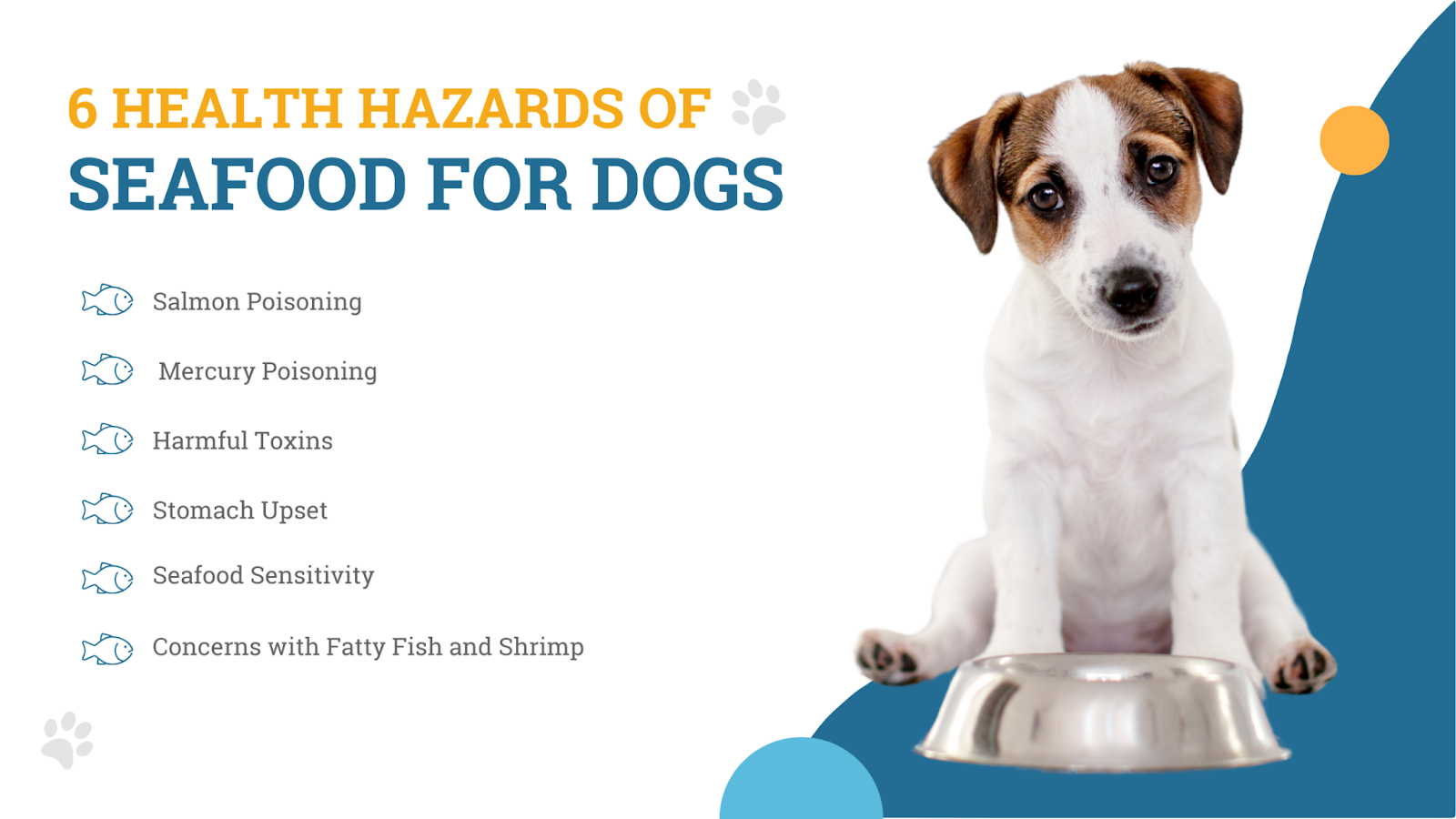 6 health hazards of seafood for dogs