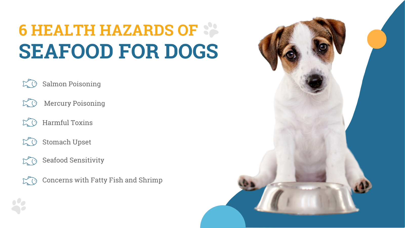 Surf s Up Can Dogs Have Seafood Safely in Their Diet Volhard Dog Nutrition