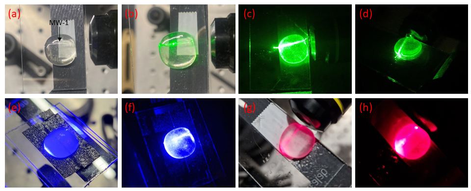A collage of images of a green and purple light

Description automatically generated