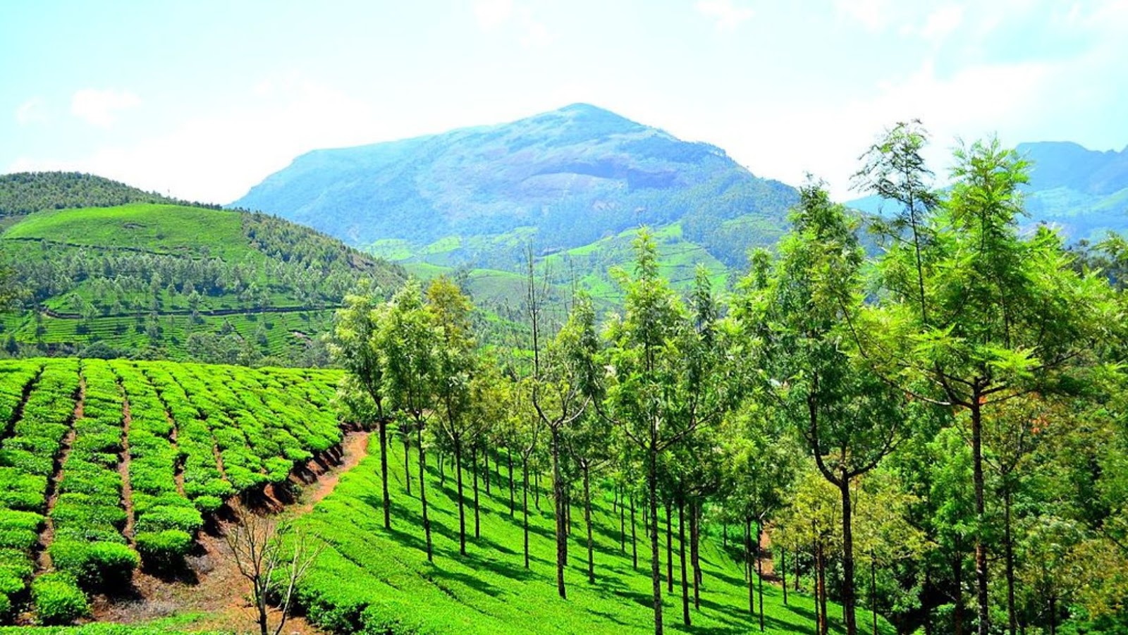 Munnar Hill Station