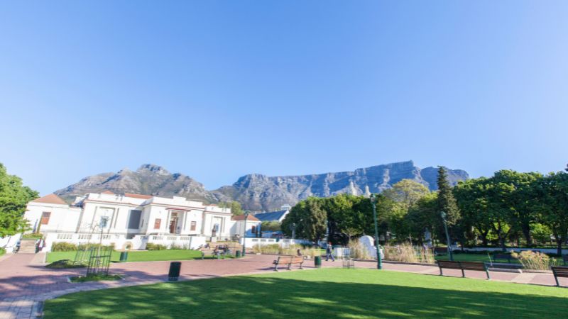 A view of the Company's Garden in Cape Town, with Table Mountain in the background.